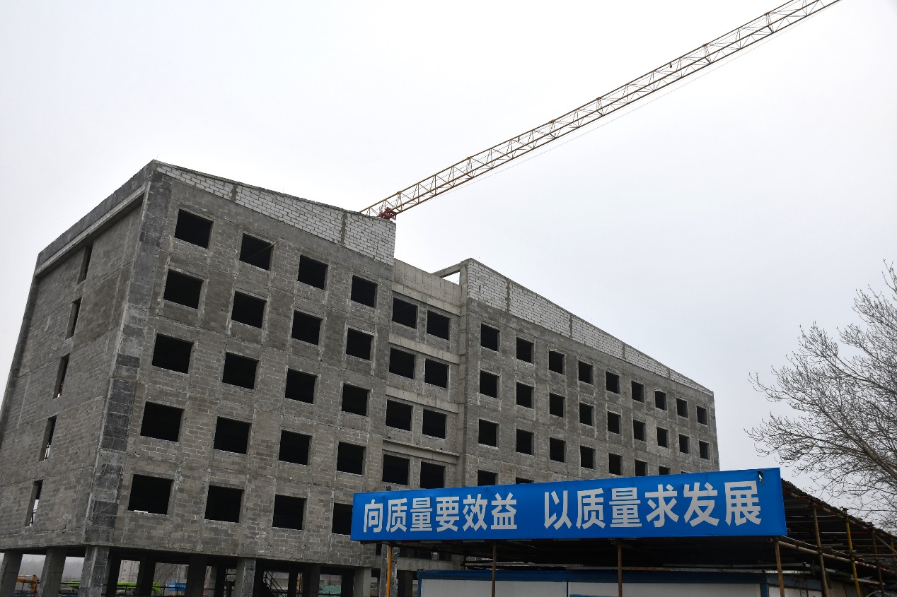 奋战施工关键期 高质开云真人量推进项目建设(图5)