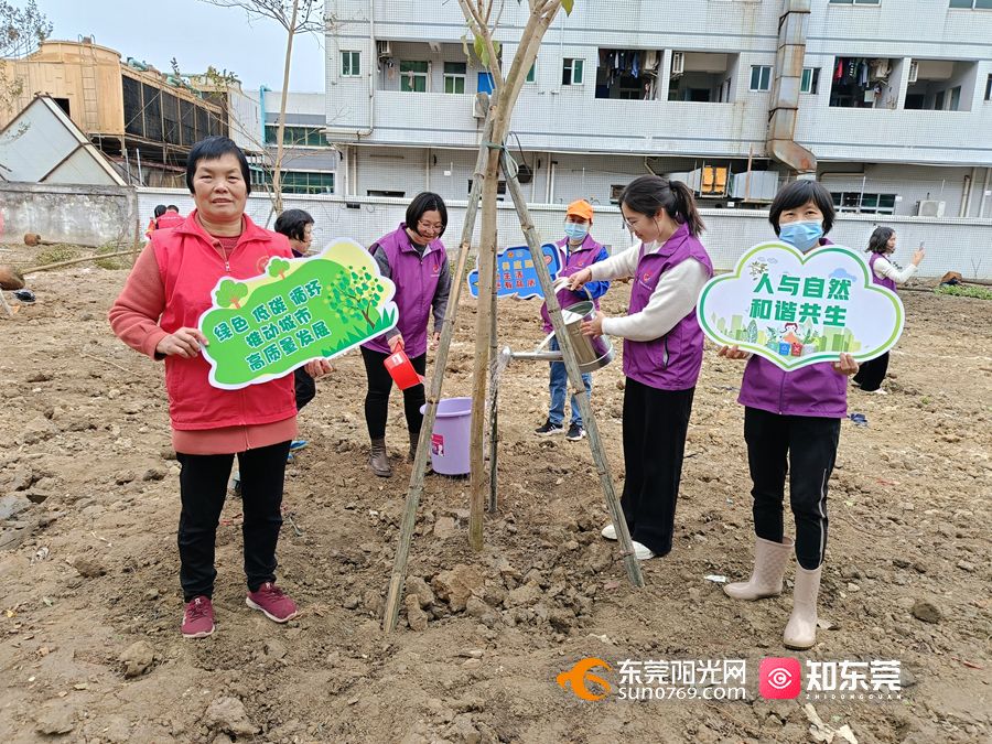 【视频】闲置绿地变公园！东莞落实“百千万工程”举措 开展植树绿化活动(图2)