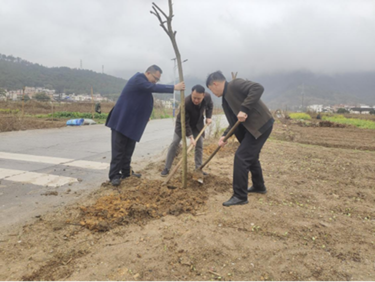 县领导范子瑜、钟志华到小江镇调研督导“百千万工程”典型村培育和乡村绿化等工作(图3)