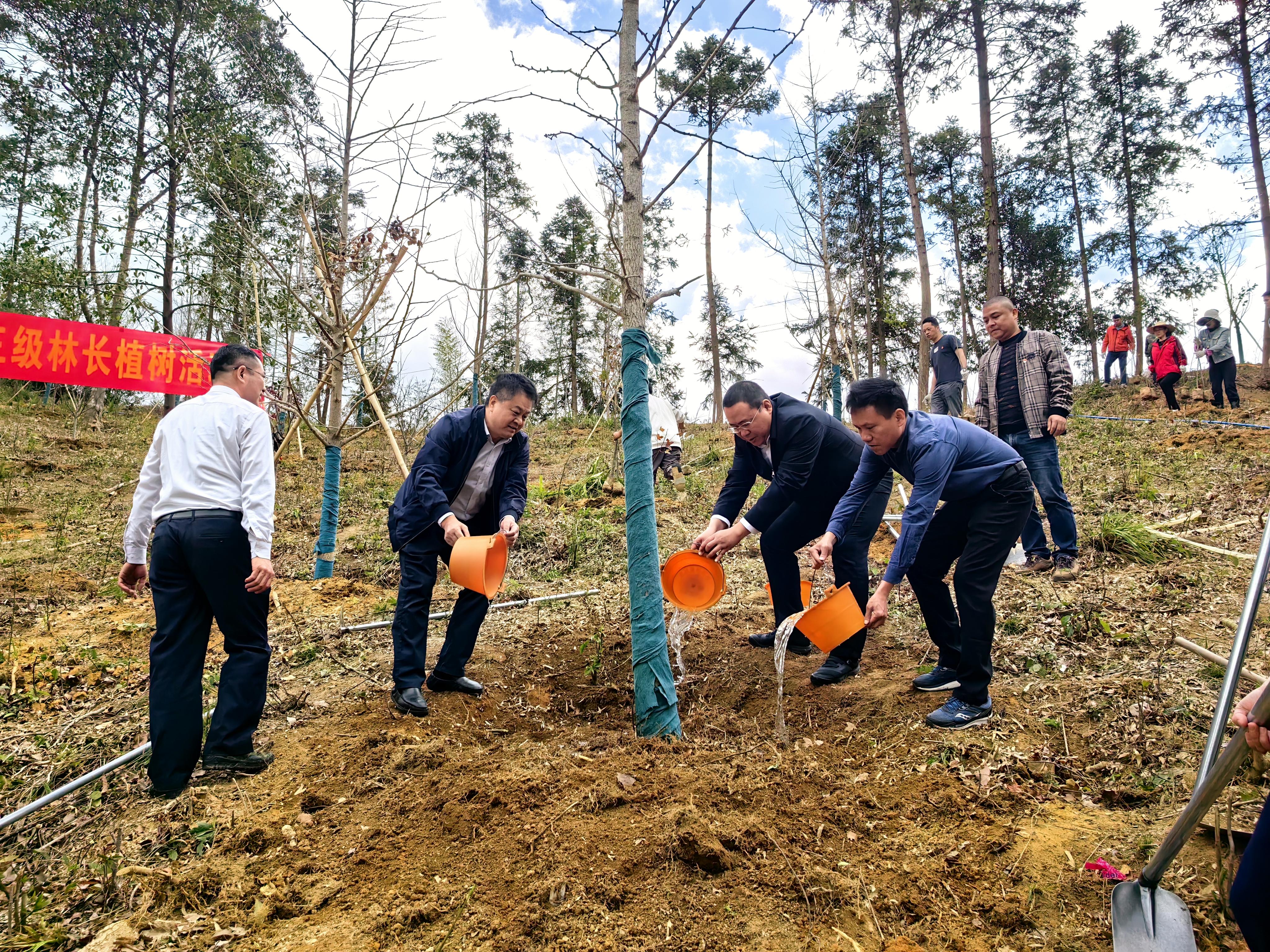 广州吹响春季造林绿化号角2024年预计新增城乡造林绿化24万亩(图1)