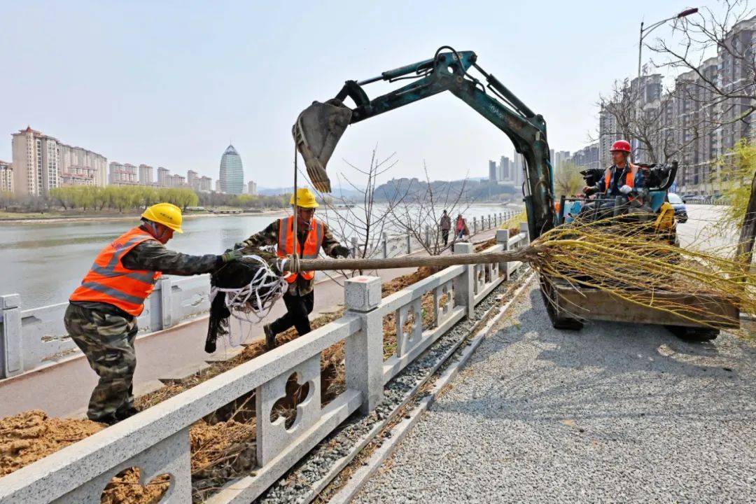 探民生丨滨河南路维修改造工程复工(图3)