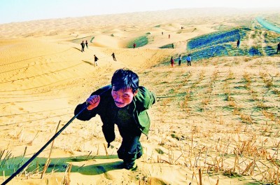 沙漠中的绿色长廊——塔克拉玛干沙漠公路绿化工程影像纪实(图4)